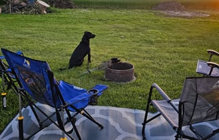 Family Camper Sleeps 8 | Delivery & Setup