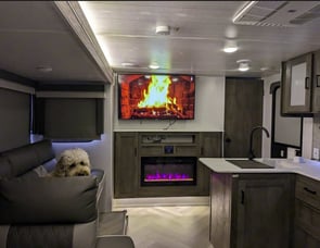 Forest River RV Salem Cruise Lite 28VBXL