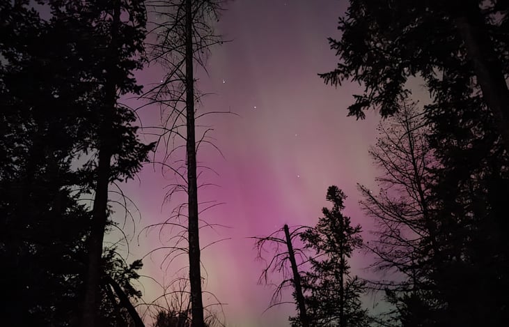 Northern Lights in the backyard
