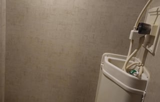 Adventure-Ready R-Pod – Bring Your Pup!