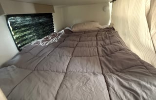 2025 Brand New  - Pet Friendly - Delivery Only