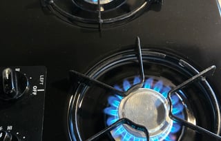 2019 Keystone RV Springdale Mini 1700FQ