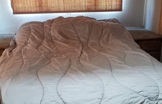 1990 Fleetwood RV Bounder 30T