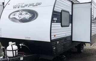 Nick's Wolf Pup 17JW