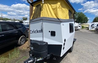 2020 TAXA Outdoors Cricket Standard Model