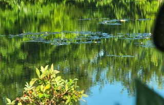 "Zephyr", Your Glamping Getaway