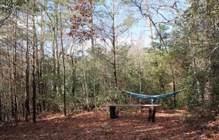 2020 Rv On The Move w/3 Smart Tv's(YouTube Tv)