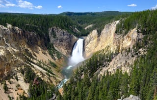 2024 Ford Tremor  Roofnest FREE P/U +STARLINK