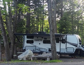 Forest River RV Rockwood Mini Lite 2509S