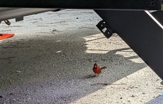 Disney and Beach Ready! 33' Jayco-Bunkhouse Slps 8