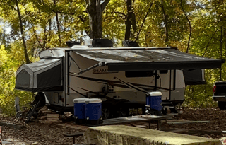 Flagstaff Shamrock Hybrid