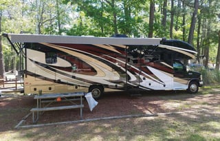 Big Booty "Judy" Lovable Class C