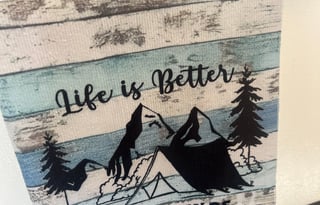 Newly Updated Shasta RV