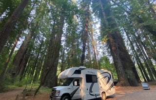 Myrtle: Easy to Drive, Safe, and Stocked!