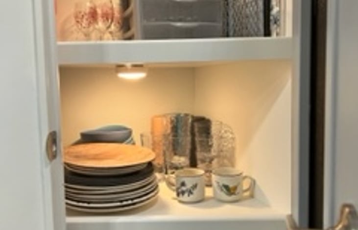 Pantry includes dishes, bowls, cups and utensils.