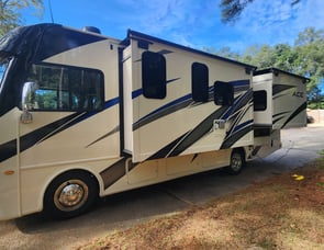 Thor Motor Coach ACE 29.5