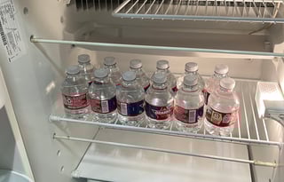 Meet Rosie, your new bestie on the go!