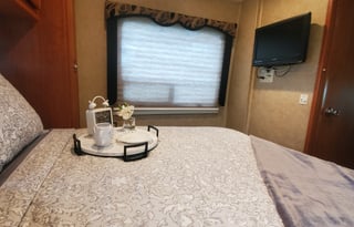 2010 Forest River RV Lexington 295DS