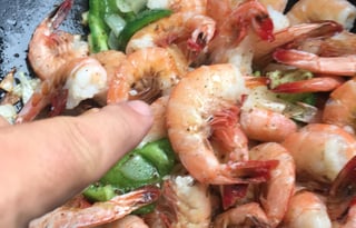 "Dixie & Diesel's Pad"