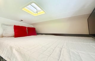 Luna the Leprechaun -2021 Coachmen RV Leprechaun