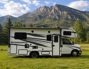 Forest River Ford sunseeker Le