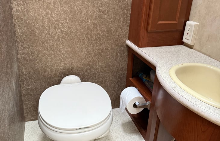 Flush toilet, and sink with ample bathroom storage