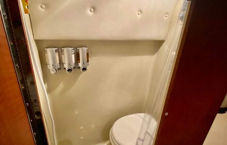 Shower toilet closet
