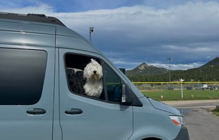 2022 Mercedes Benz Sprinter Van 170wb - Juniper