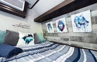 "Black Wolf" New 2021 Coleman 17B