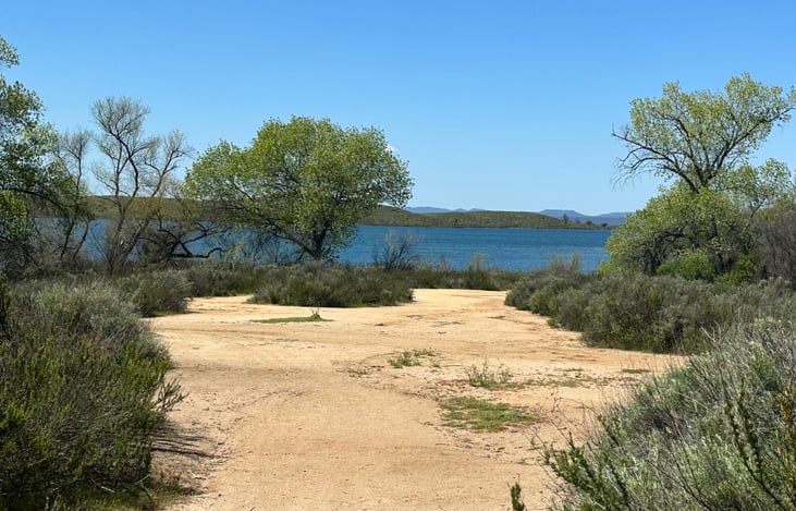 Morning walk ... Grab your coffee , and walk straight to the lake for sunrise!
