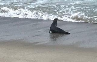 Easy to drive...Great Layout for 6...has solar