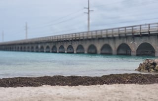 Thor Motor Coach Four Winds 24 Ft.- EARLY PICK UP