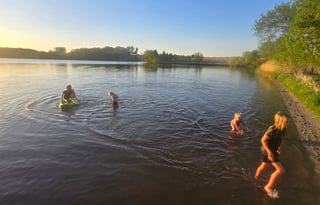 The Bunkhouse Bloom RV