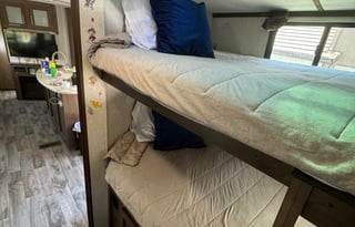 Lady Cougar 2020 Keystone