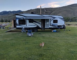 Forest River RV Sandstorm Sport Series 241