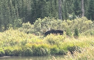 Earth Trekker 35’ Motorcoach for 8