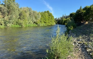 THE RIVERS NEST: Tiny Home On Applegate River