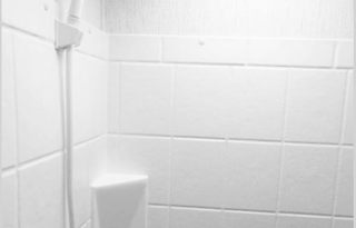 New 2024 Cruiser Hitch 17 BHS