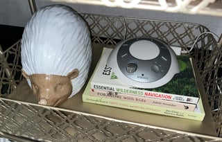 We deliver and set up! Two Queens! Adventure Ready