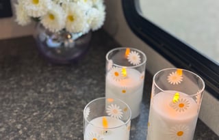 The Price is Right!  "Dog & Family Friendly"