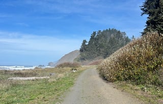 2026 Thor Freedom Elite 17D Pet Friendly Van