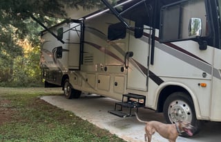 Perfect for Festivals, Tailgates & Family Trips