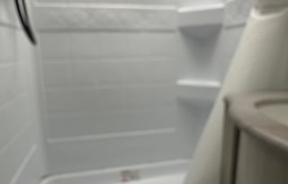 J&M Torres Family palomino