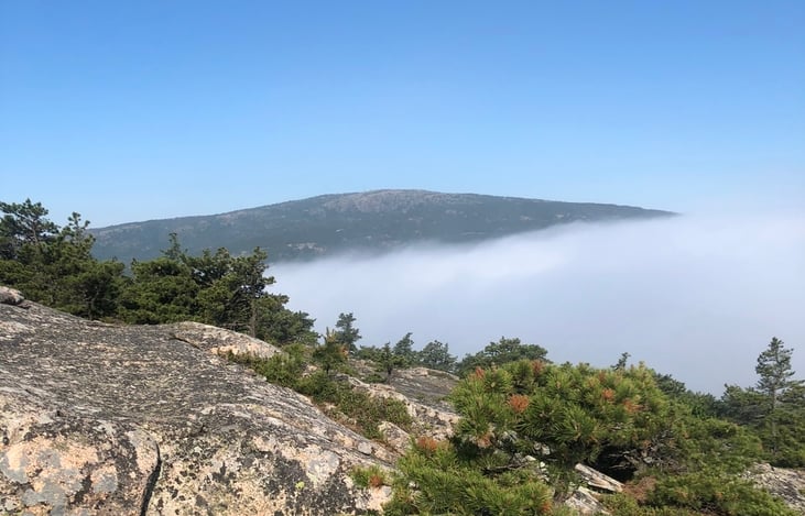 Mountain top view in Acadia National Park