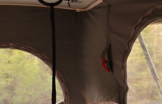 "Dewey" - 2022 Winnebago Solis 59P