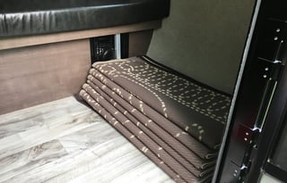 "PUMPKIN" 2021 Sunset RV SunRay 109