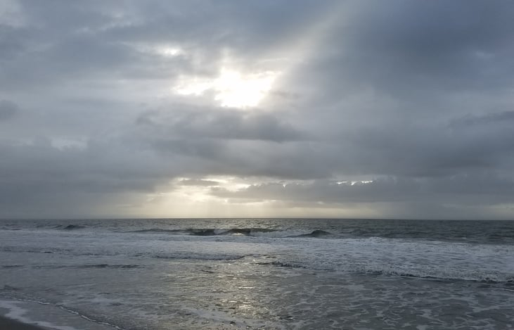 Morning in Myrtle