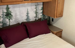 Curly - Winnebago ready for adventure!