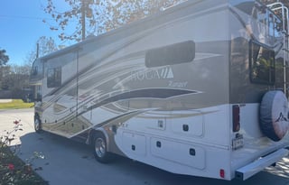 SWEET SOUTHERN FREEDOM