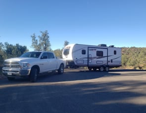 Forest River RV Rockwood Mini Lite 2509S